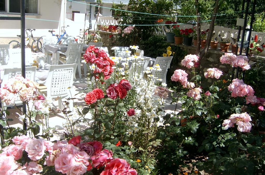 Sehsuvar Peace Pension Egirdir Extérieur photo